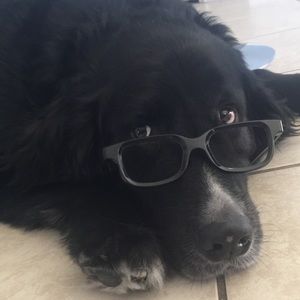 Meet your Posher, Isabella